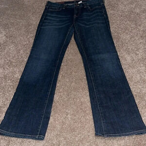 J. Crew Jeans Women’s Size 28 Hipslung Blue Jeans.  P